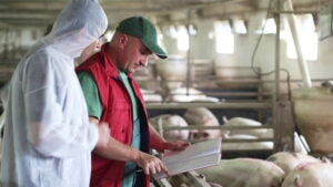 Iskofita-товары для свиноводства