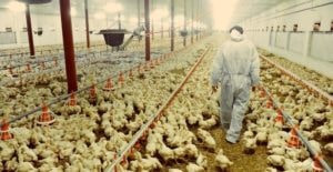 Iskofita консультации по кормлению-3